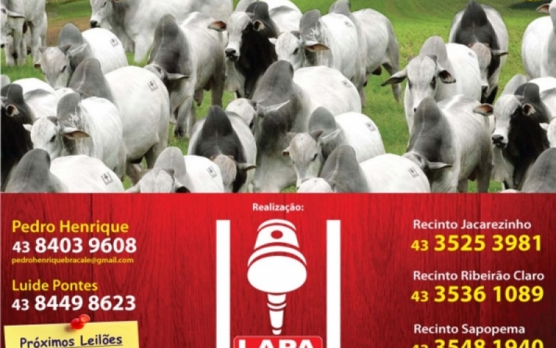 Recinto de Leilões do Centro de Eventos recebe evento e se prepara para 22ª Fetexas