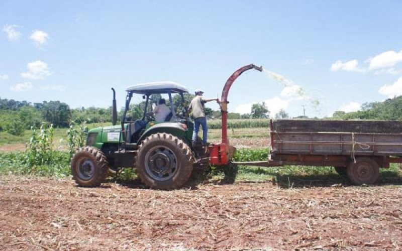 Prefeitura auxilia pequenos produtores com silagem