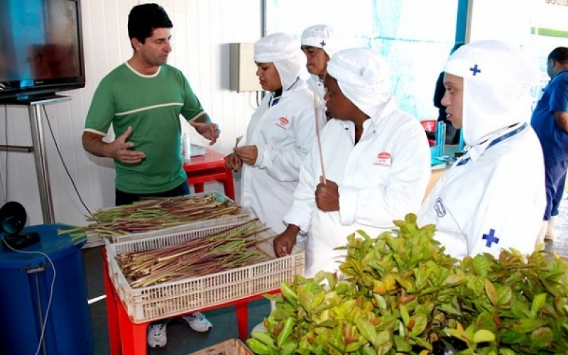 Prefeitura realiza série de eventos em alusão ao Dia Do Meio Ambiente