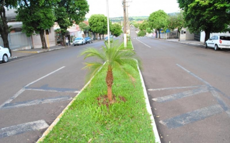 Jacarezinho ganha novo paisagismo