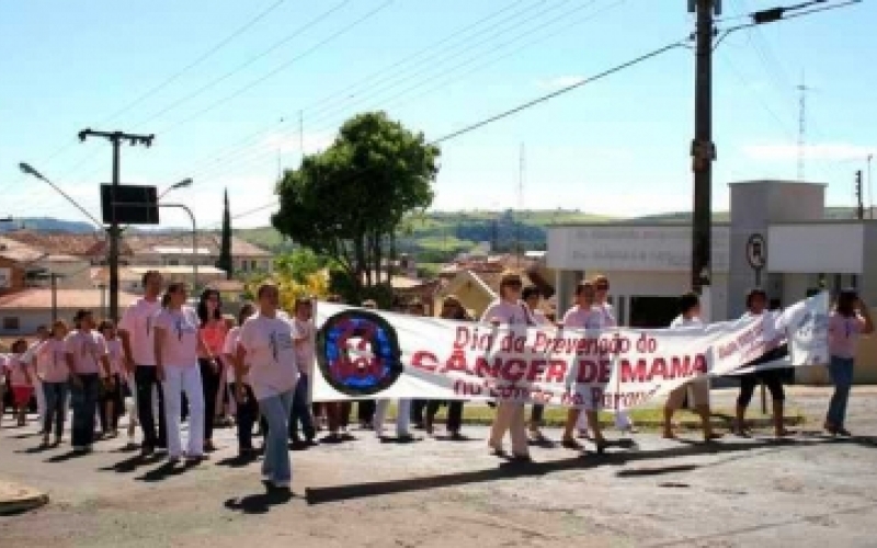 Dia Estadual do Combate ao Câncer de Mama