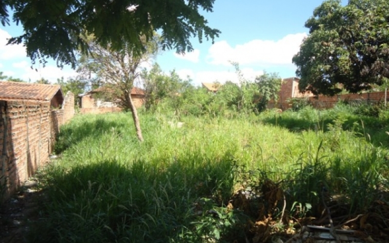 Participação da população é importante na limpeza de terrenos