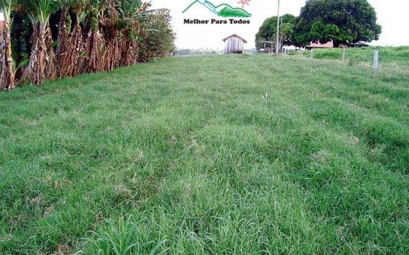 Prefeitura parabeniza homens e mulheres do campo 