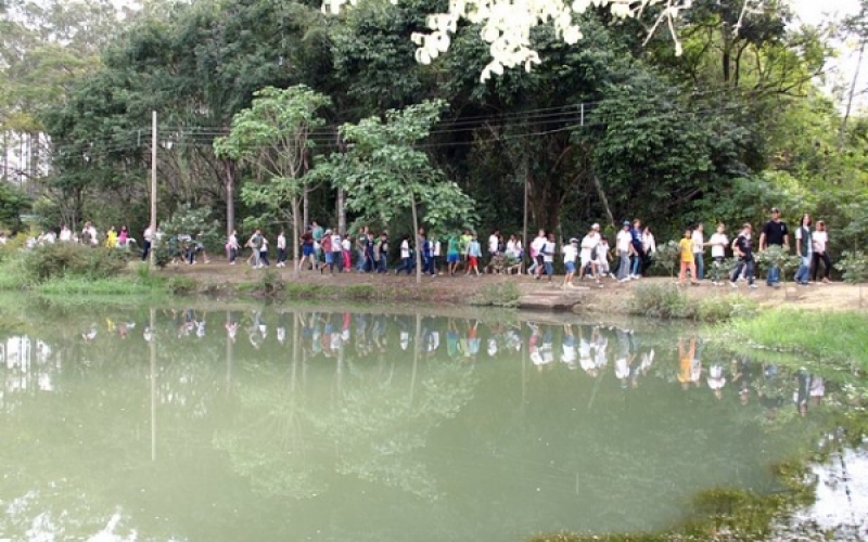 Alunos do 5° ano fazem trilha no Horto Florestal