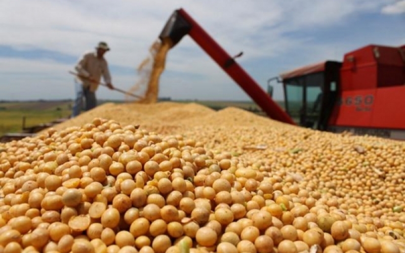 Produtores rurais devem entregar notas fiscais