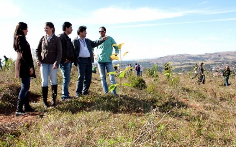 Prefeitura, IF e IAP plantam primeiras 230 árvores