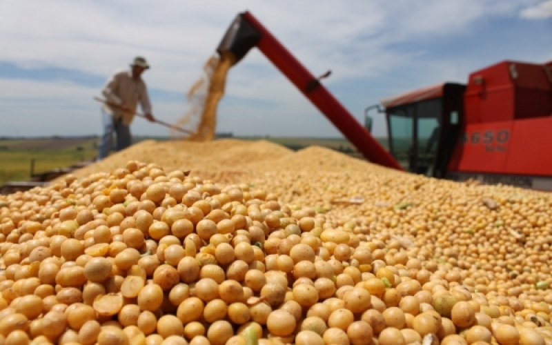 Produtor rural tem até quinta-feira para entregar notas fiscais
