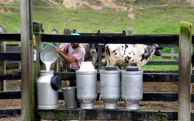 1º Encontro Municipal de Produtores de Leite será durante Fetexas