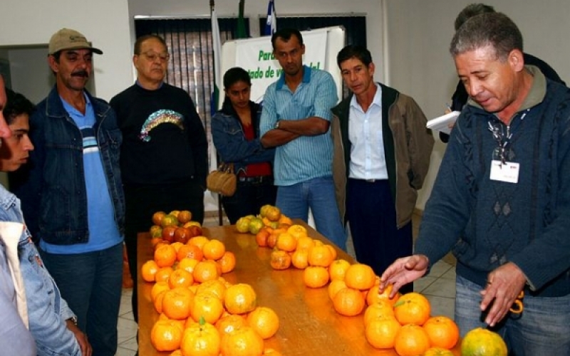  Edital para adquirir produtos da merenda é aberto no dia 25 