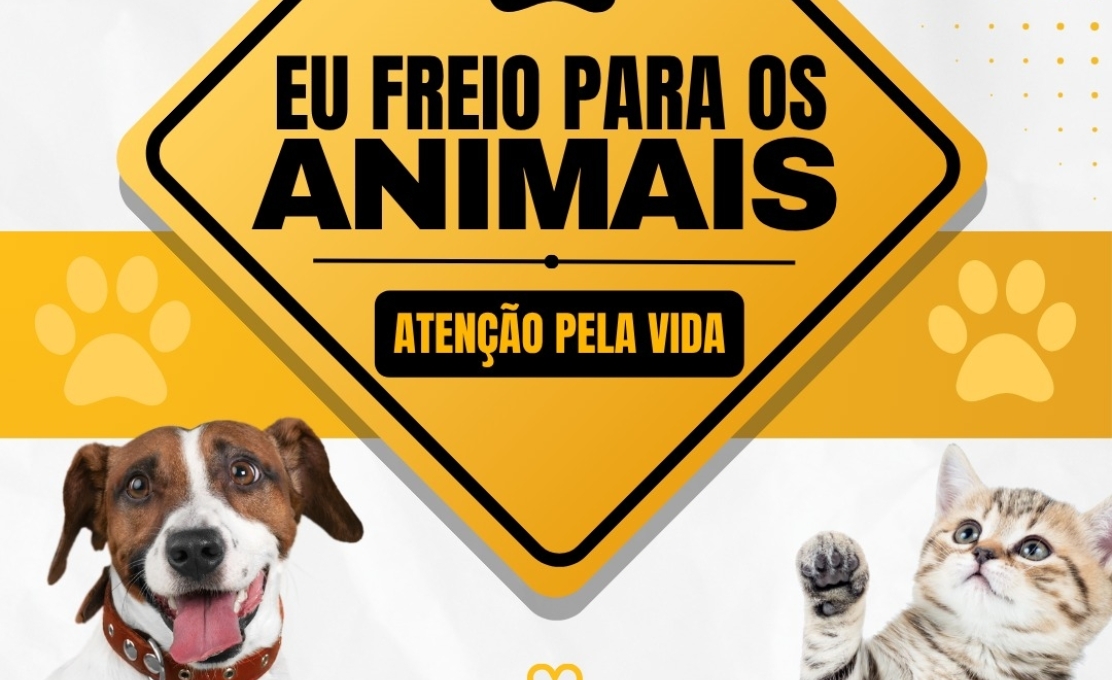 Maio Amarelo: Respeito e proteção aos animais também fazem parte de um trânsito mais seguro 