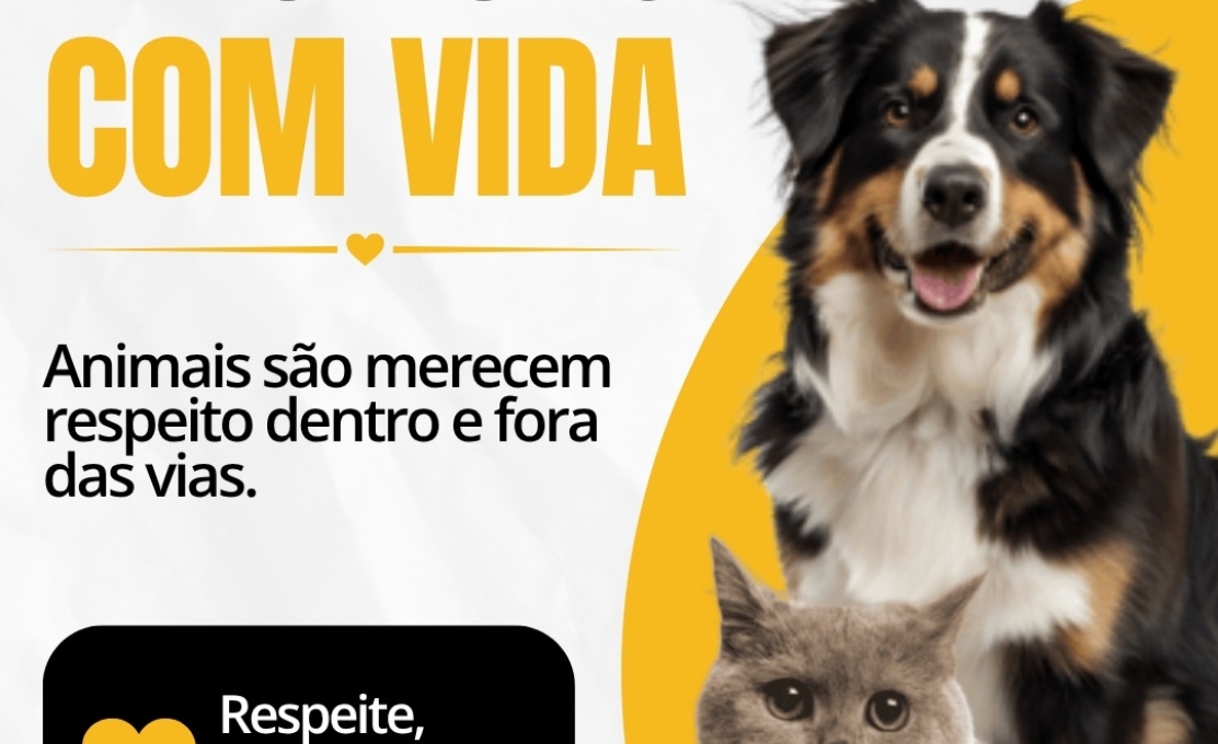 Maio Amarelo: Respeito e proteção aos animais também fazem parte de um trânsito mais seguro 