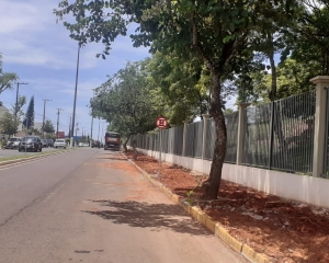 avenida-brasil-1.jpg