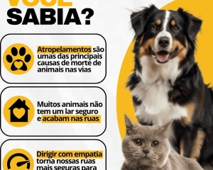whatsapp-image-2026-05-20-at-144713-1_(405).jpeg