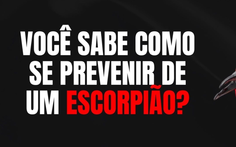 Campanha de prevenção e combate ao escorpião: Saiba como se prevenir!