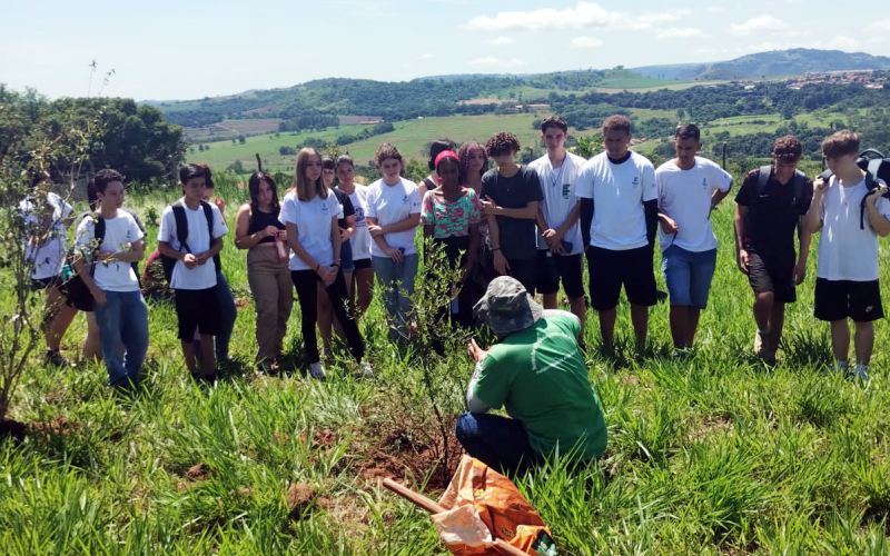 Jacarezinho atua em arborização e educação ambiental